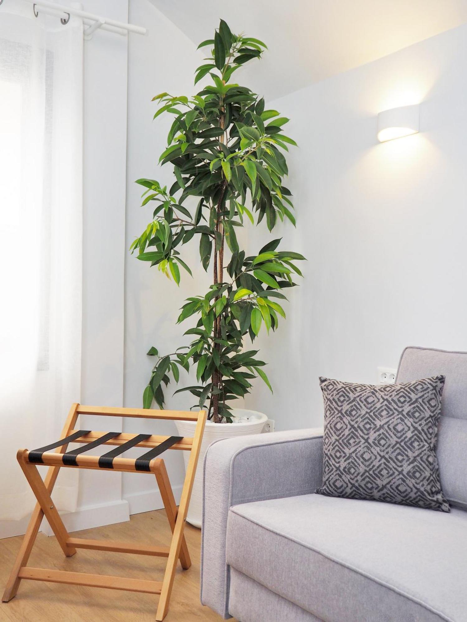 Times Elegant Rooms Ermoupoli Esterno foto